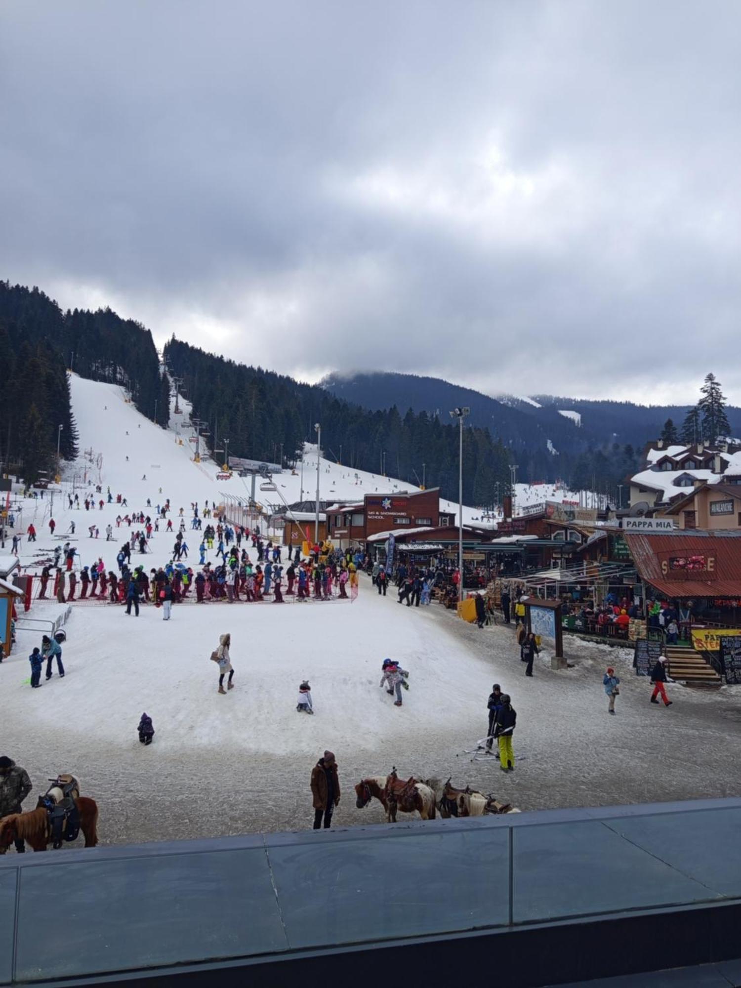 Iglika 2 Snowy Night V18 Hotel Borovets Buitenkant foto